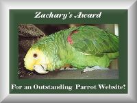 Zachary's Special Award